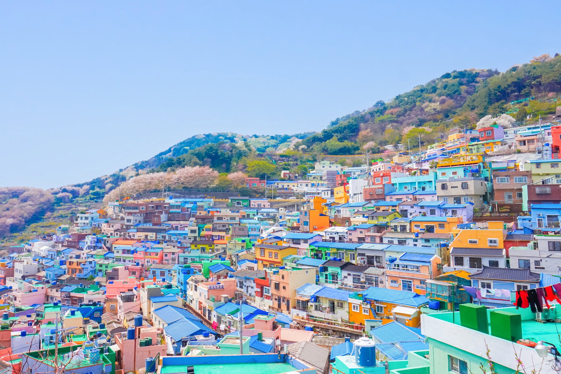 Pusan