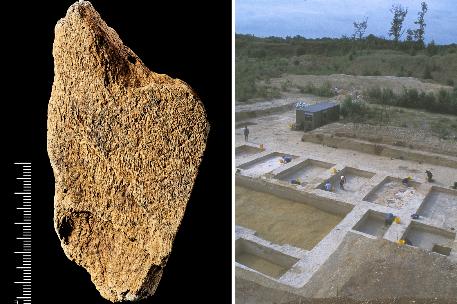 Najstarsza taka „ostrzałka” w Europie. Archeolodzy odkryli narzędzie sprzed pół miliona lat