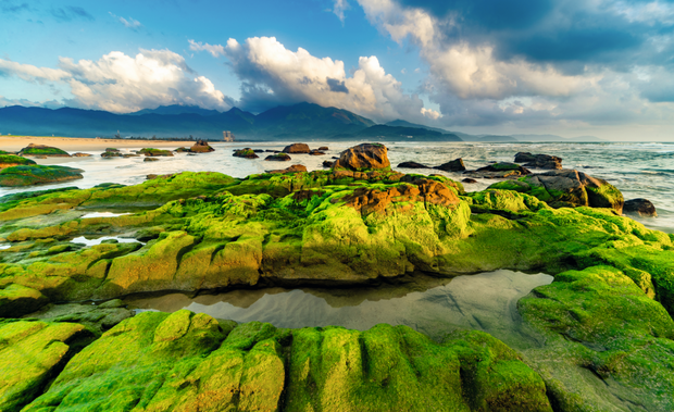 Nam O Beach, 15 km od miasta Da Nang. Plaża znana jest z zielonych skał (pokryte są glonami).