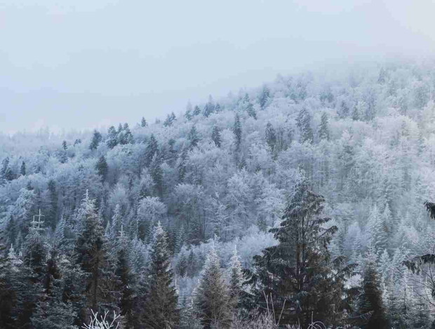 Beskid Wyspowy fot. Ania Wyżykowska