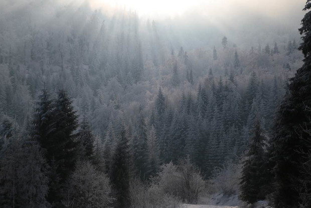 Beskid Wyspowy fot. Ania Wyżykowska