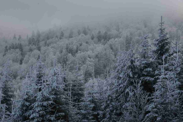 Beskid Wyspowy fot. Ania Wyżykowska