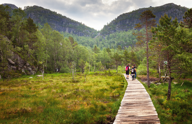 Szlak na Preikestolen jest bardzo malowniczy: góry, sosnowe lasy, jeziorka i przepaście.