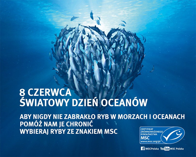 MSC_FB_SERCE_1