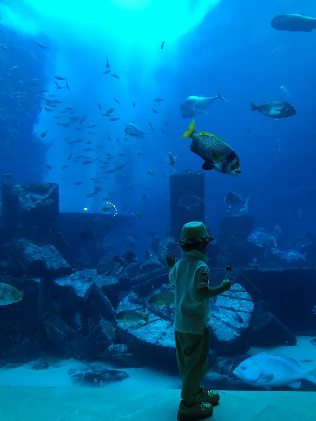 Tajemnice hotelu Atlantis