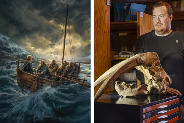 Artystyczne wyobrażenie wikingów zmierzających na Grenlandię (L), Michael Nielsen wśród archeologicznych zbiorów (P)