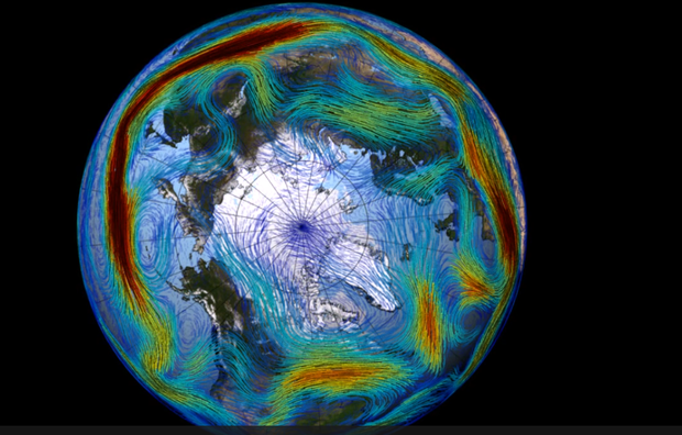 wir-polarny