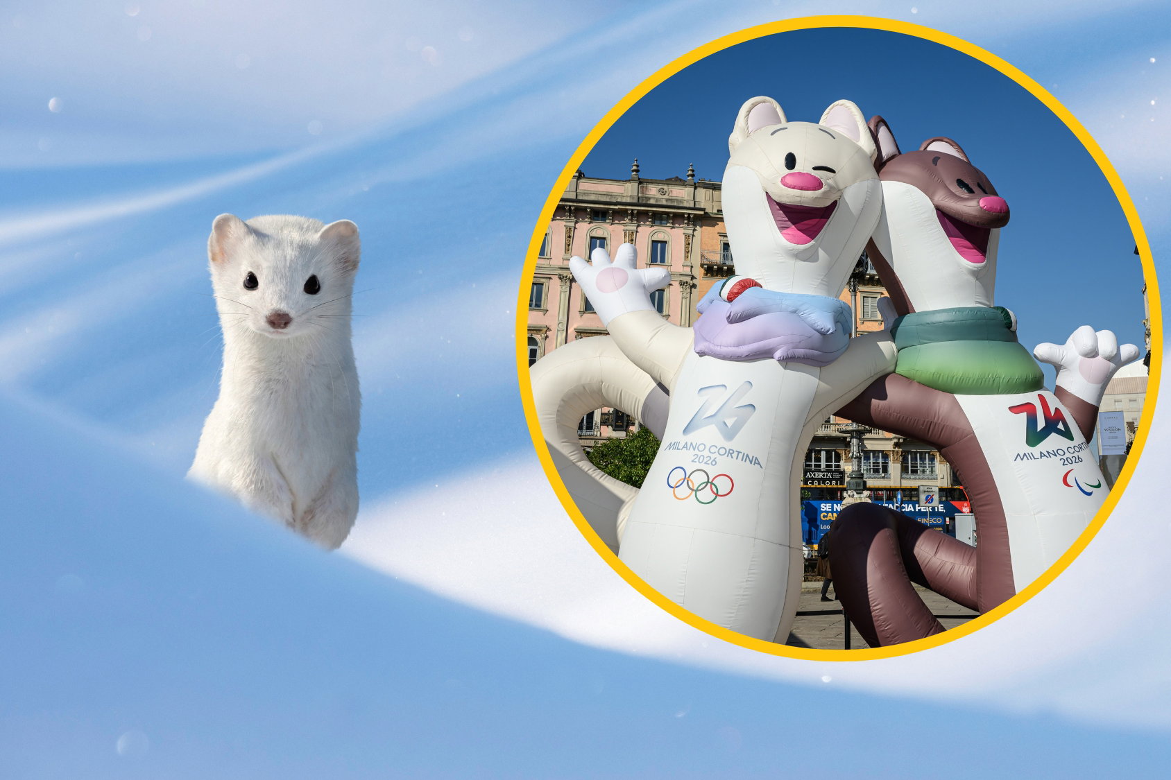 Zimowe Igrzyska Olimpijskie mają dwie maskotki. To nawiązanie do biologii gronostaja