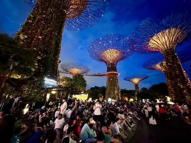 Gardens by the Bay w Singapurze pokaz świetlny