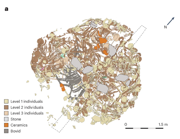 Dokumentacja archeologiczna grobu