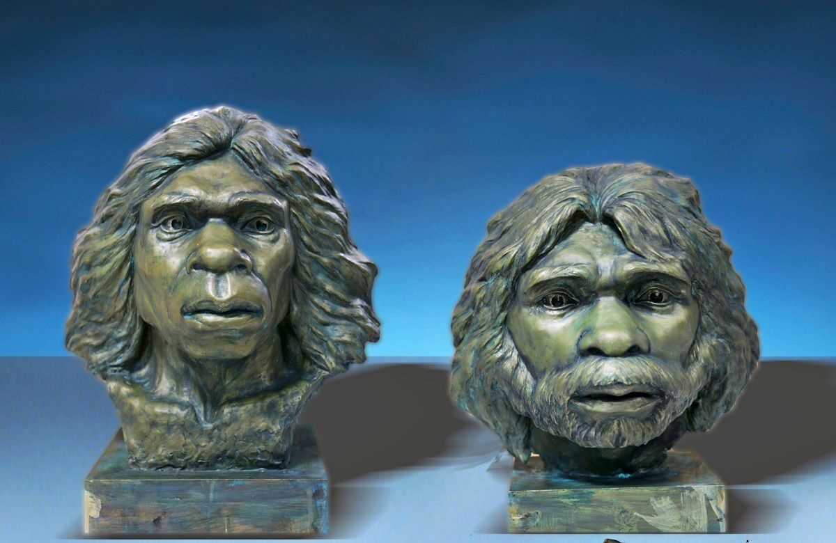 yunxian-homo-erectus