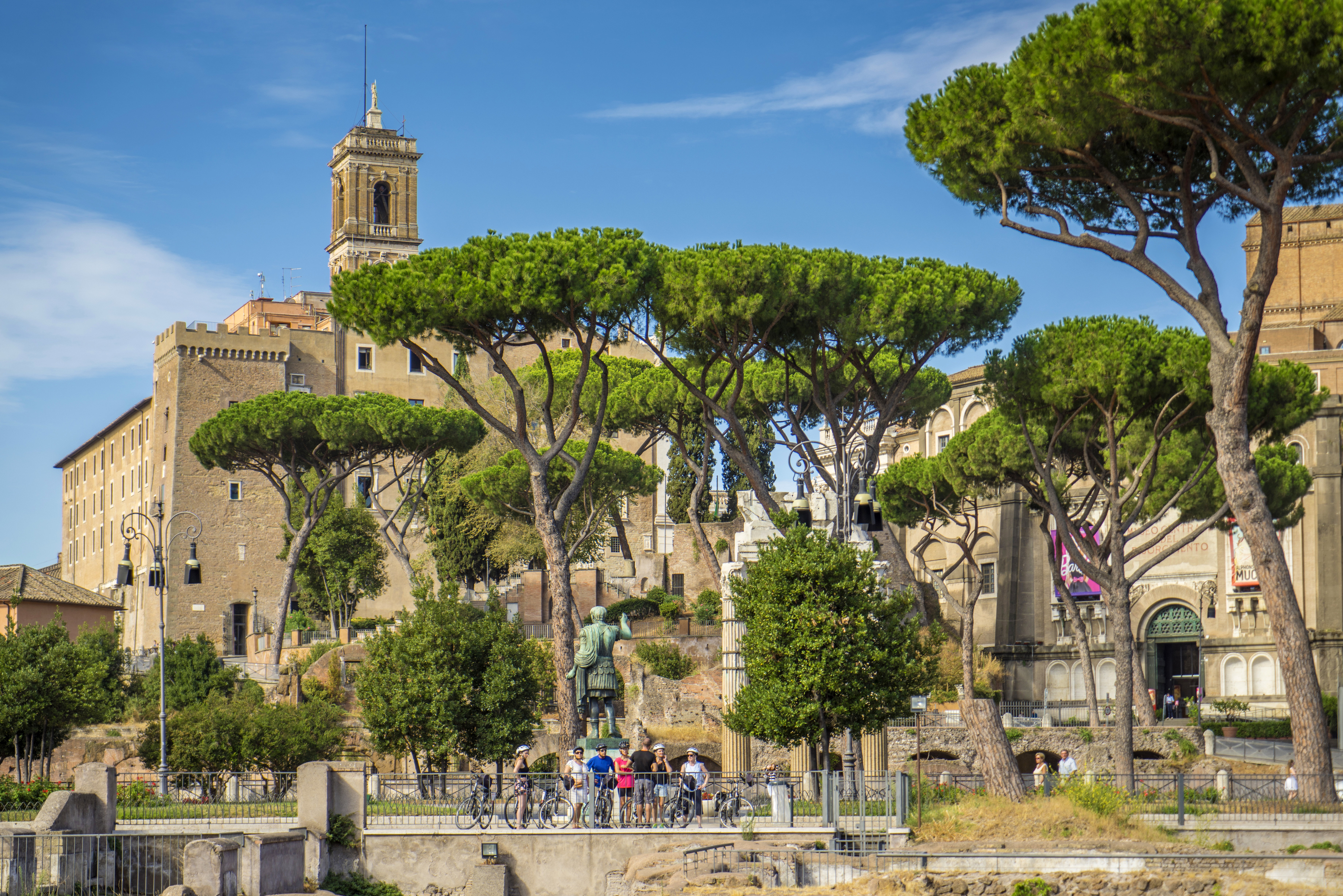 Czy Rzym straci słynne sosny? Zmiany na słynnej Via dei Fori Imperiali