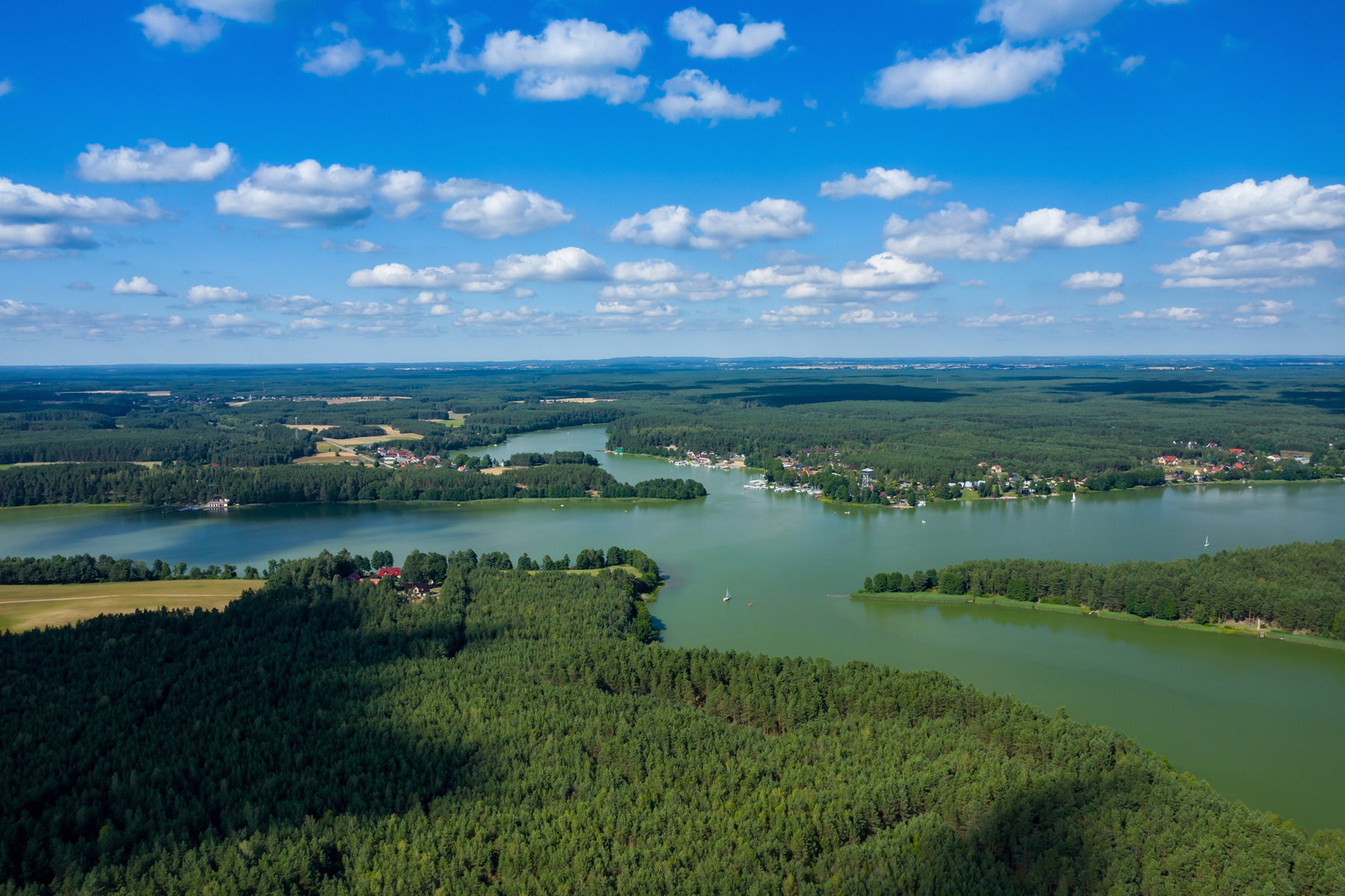 Wdzydzki Park Krajobrazowy to miejsce, gdzie błękitne jeziora przecinają zielone bory