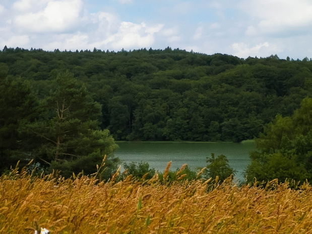 wieżyca
