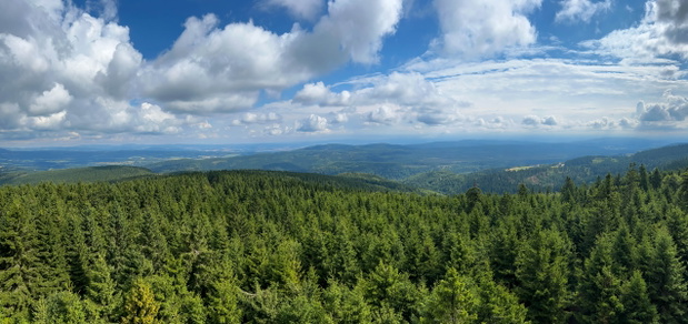 Góry Orlickie