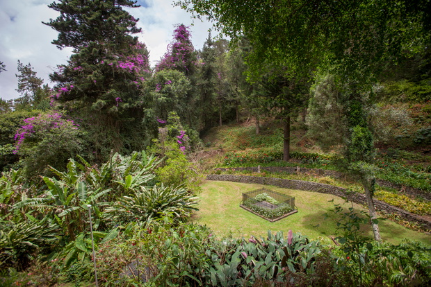 Napoleon,Bonapartzes,Grave,On,St.,Helena,Island,In,The,South