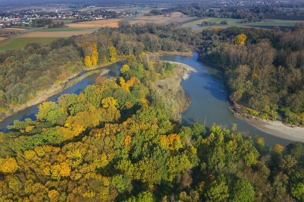 Meandry rzeki Odry – pomnik przyrody na pograniczu Polski i Czech
