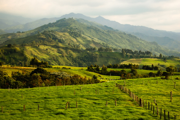 Lush, green, Andean landscape near the village of Salento, Colombia