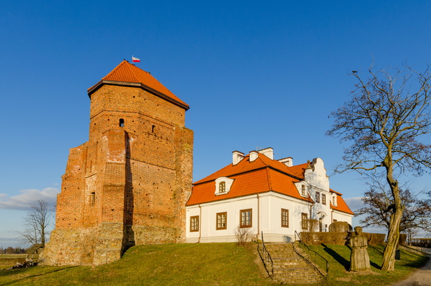 zamek w liwie