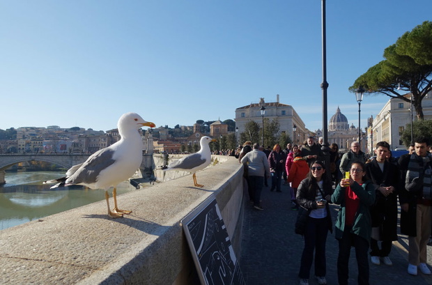 piazza pia
