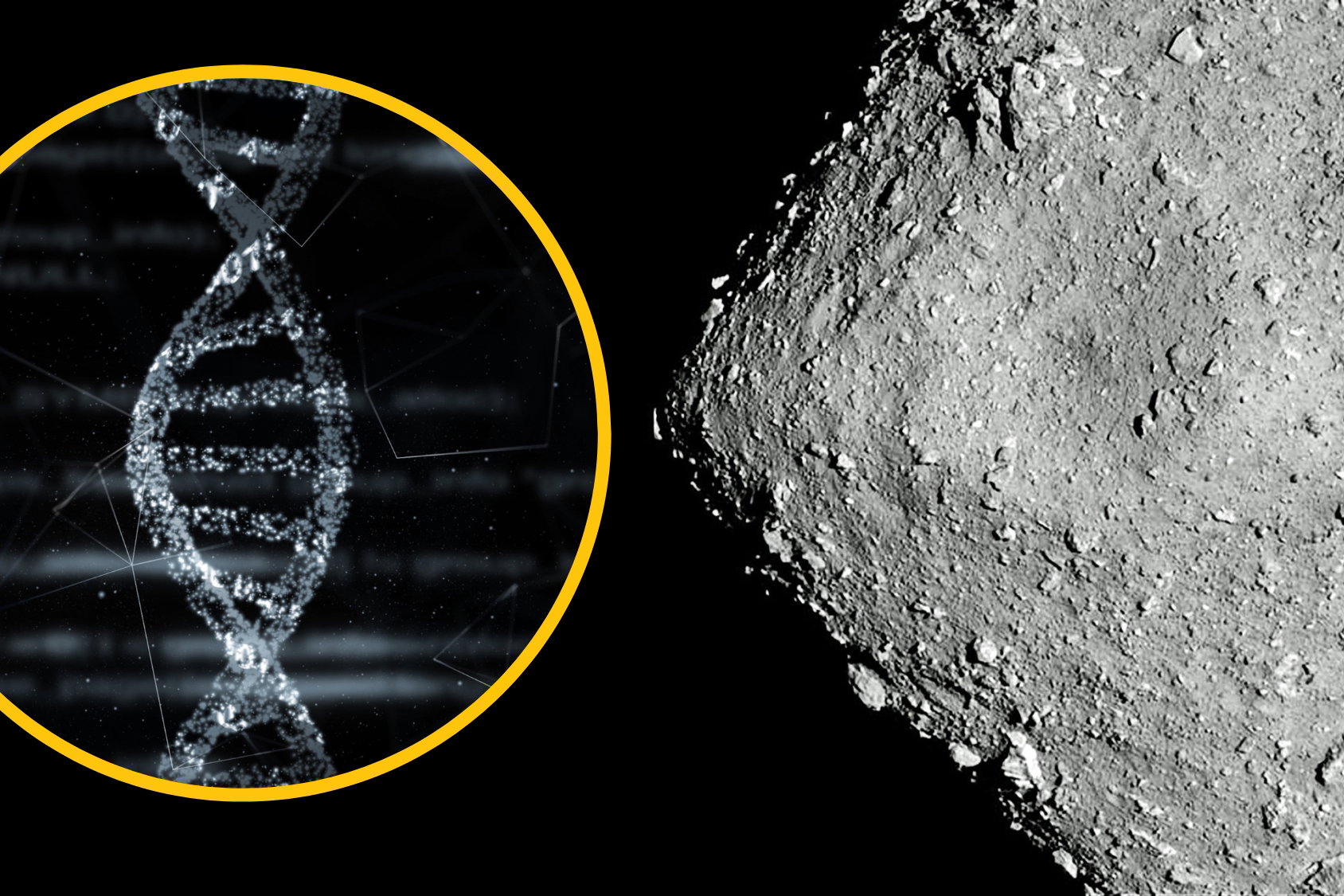 W próbkach z planetoidy Ryugu znaleziono cegiełki do budowy DNA i RNA