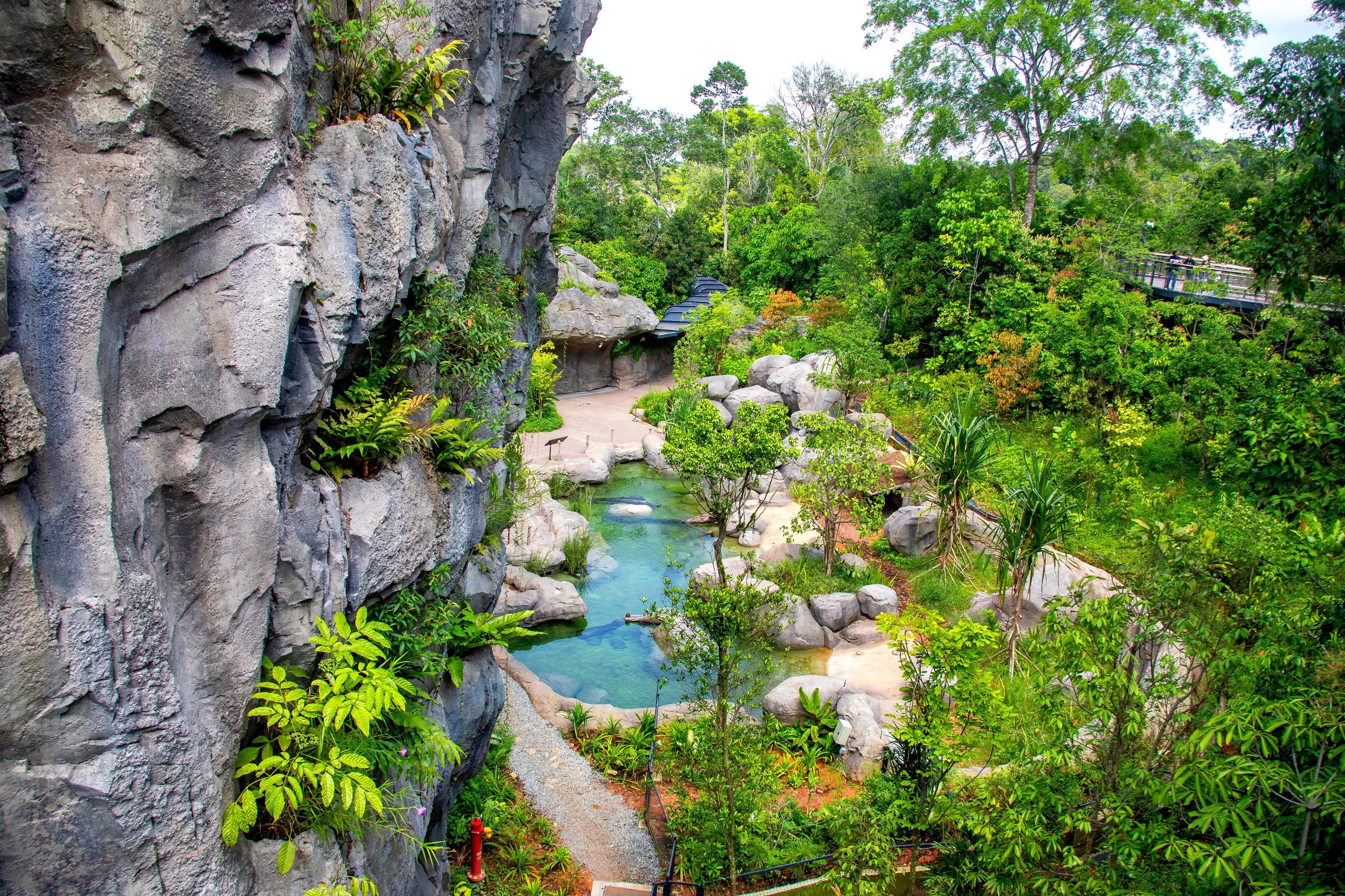 Rainforest Wild Asia w Singapurze