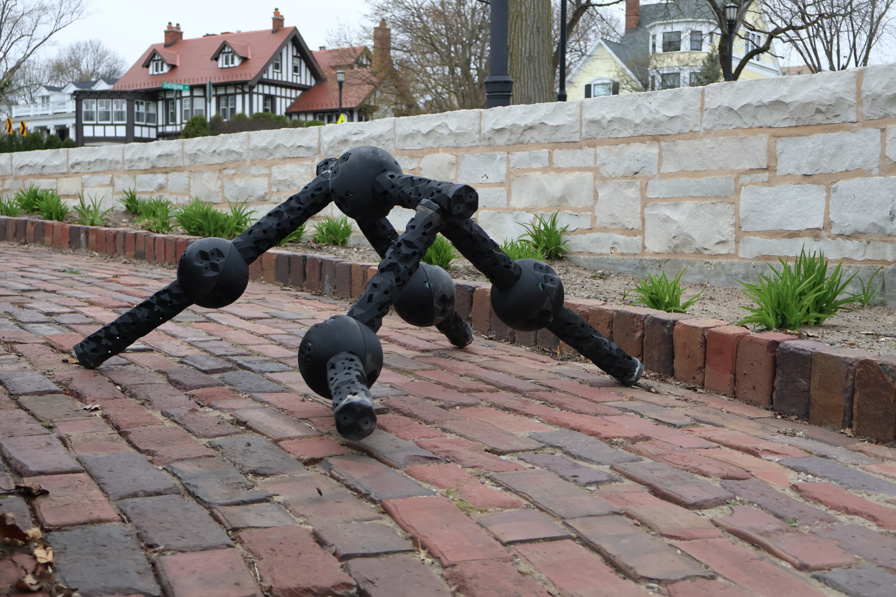 evolved-robots-are-bor-1