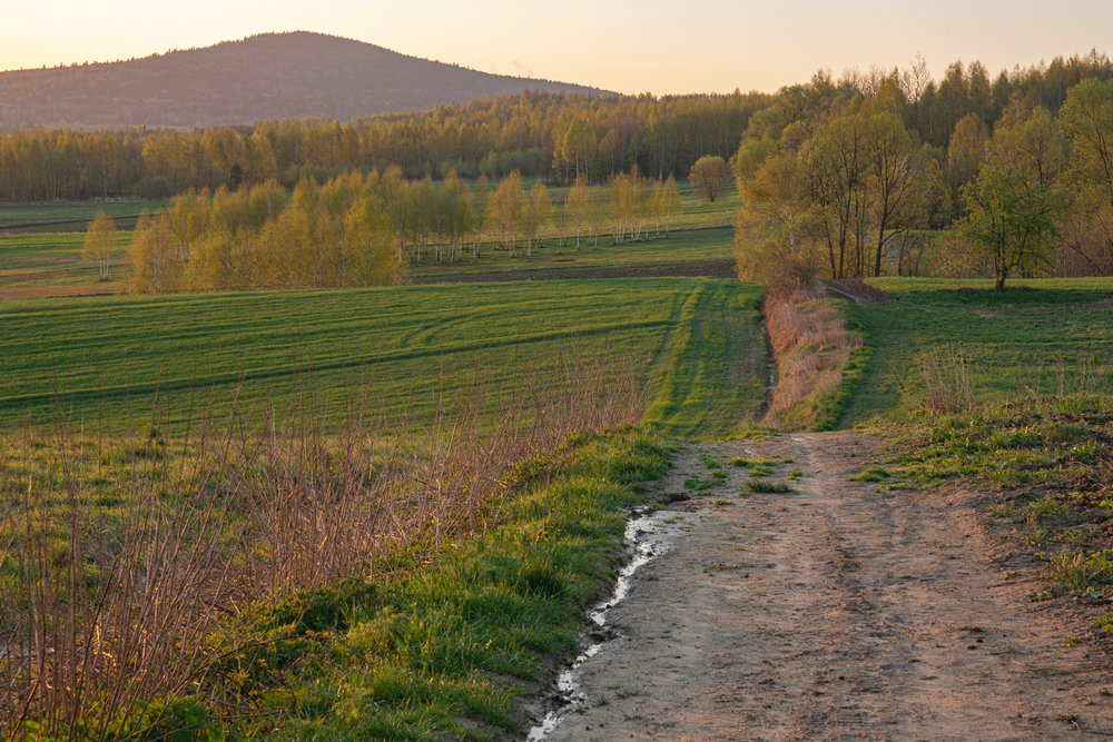 Świętokrzyski Park Narodowy / fot. Shoovar / Shutterstock