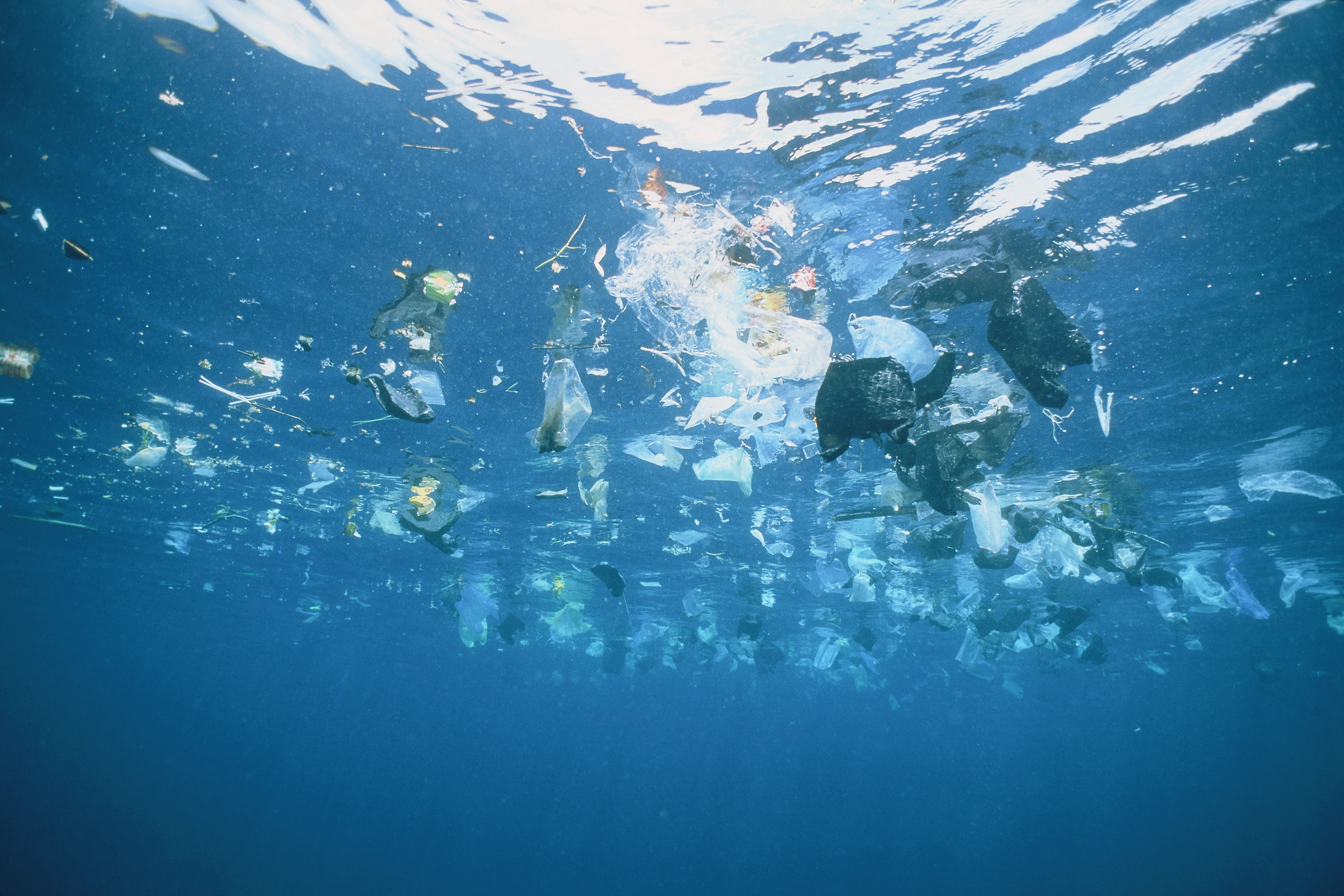 Mikroplastik może odkładać się nawet w tętnicach. Przełomowe badania