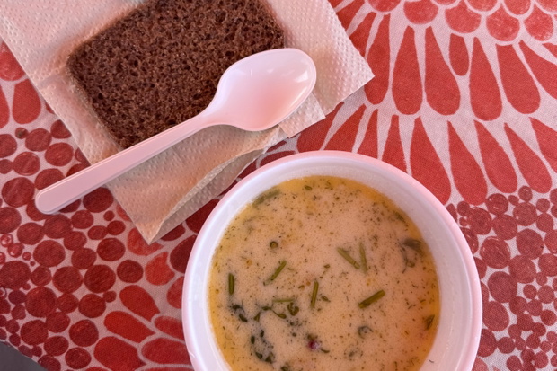 zupa łososiowa