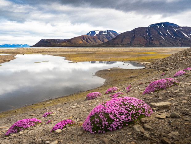 Longyearbyen-2