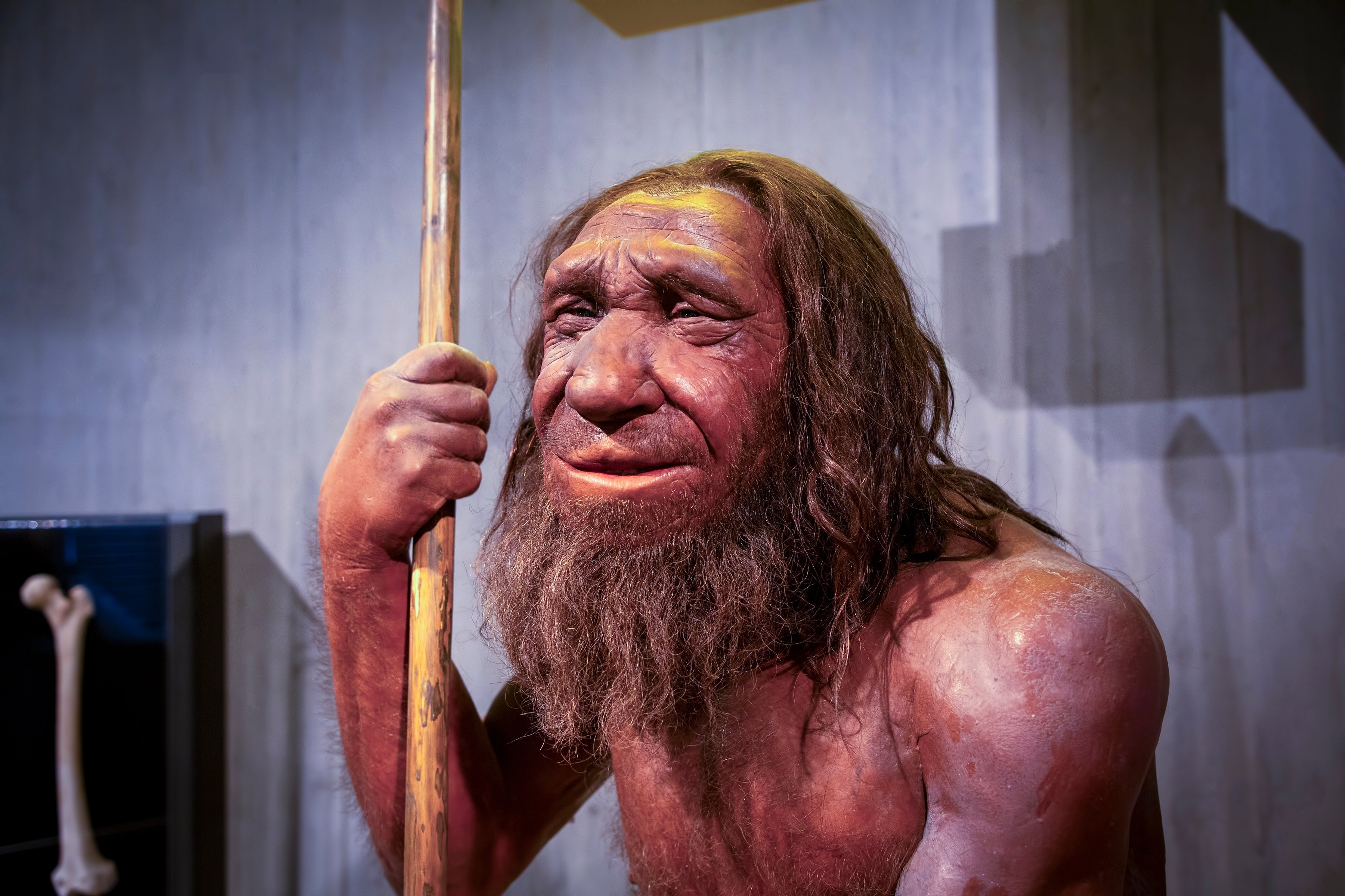 Nowe badania: neandertalczycy prawie wyginęli 65 tysięcy lat temu