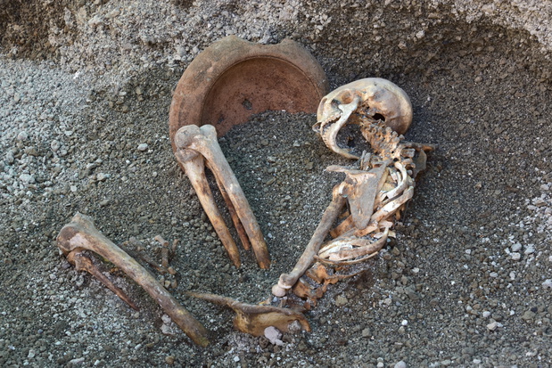 Mężczyzna chronił głowę naczyniem ceramicznym