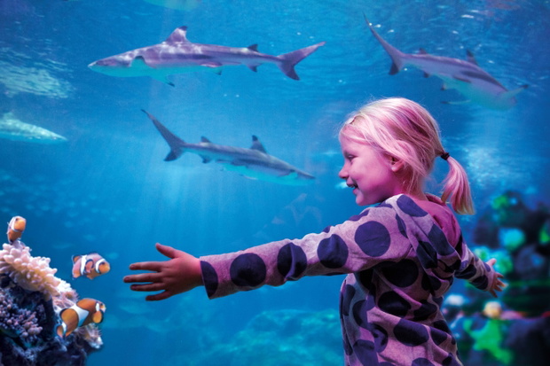 SeaLife Oberhausen