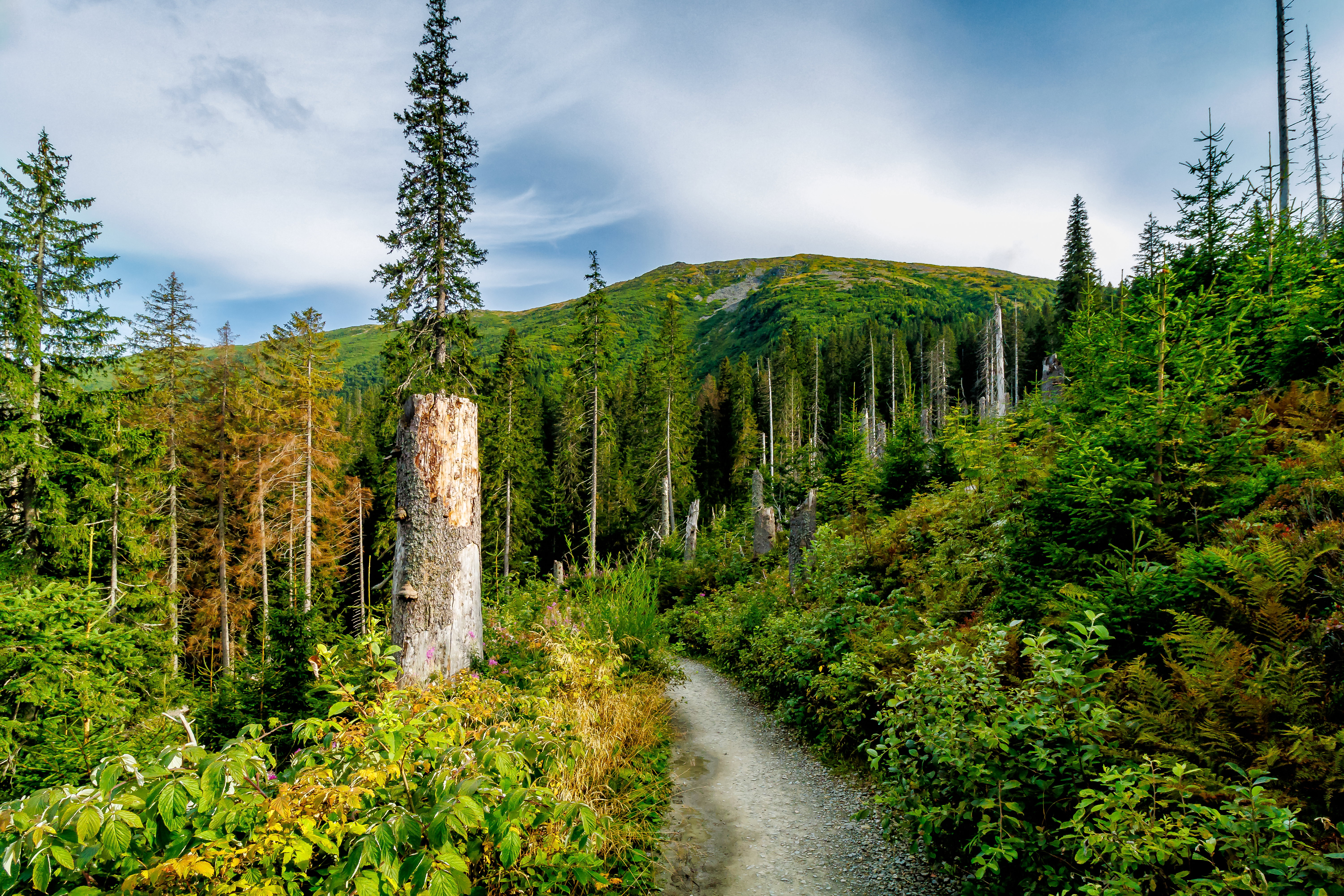 Beskid Żywiecki