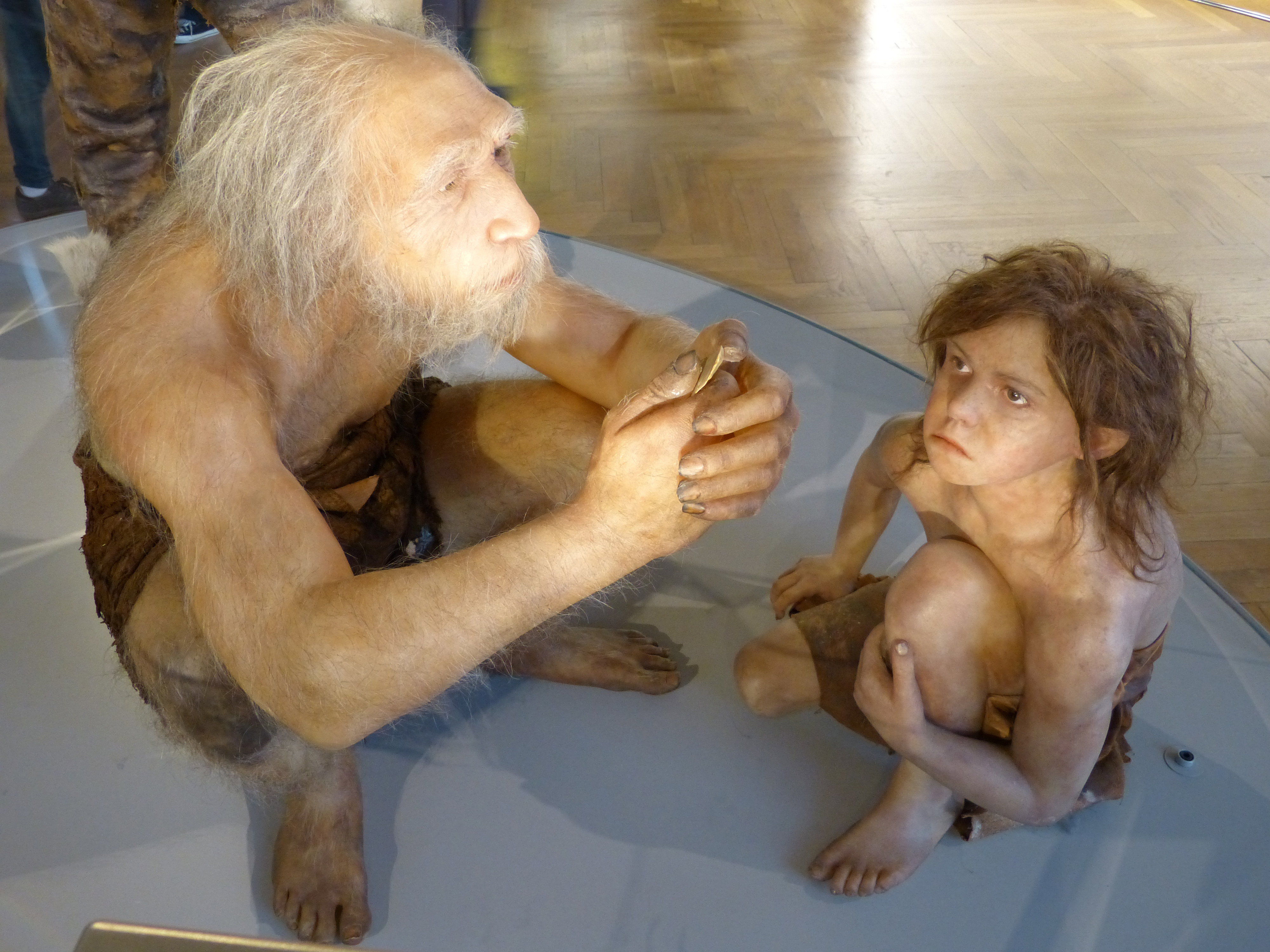 dzieci-neandertalczykow