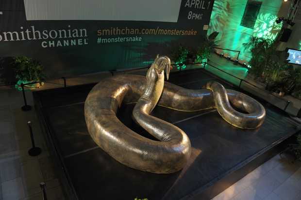 Titanboa w Smithsonian Institution.