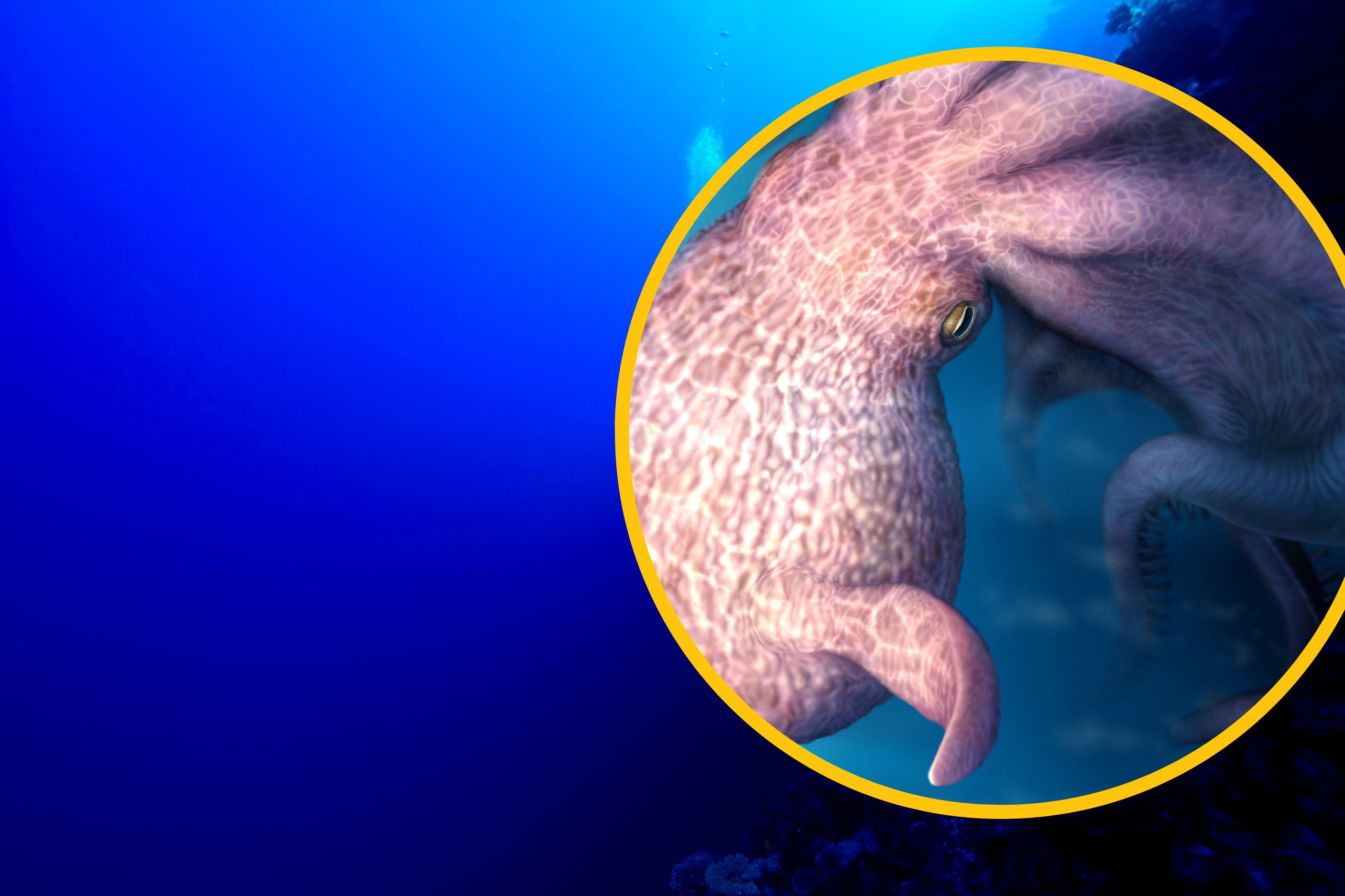 Wreszcie znaleźli Krakena. Odkryto gigantyczną ośmiornicę sprzed 100 mln lat, która siała postrach wśród dinozaurów