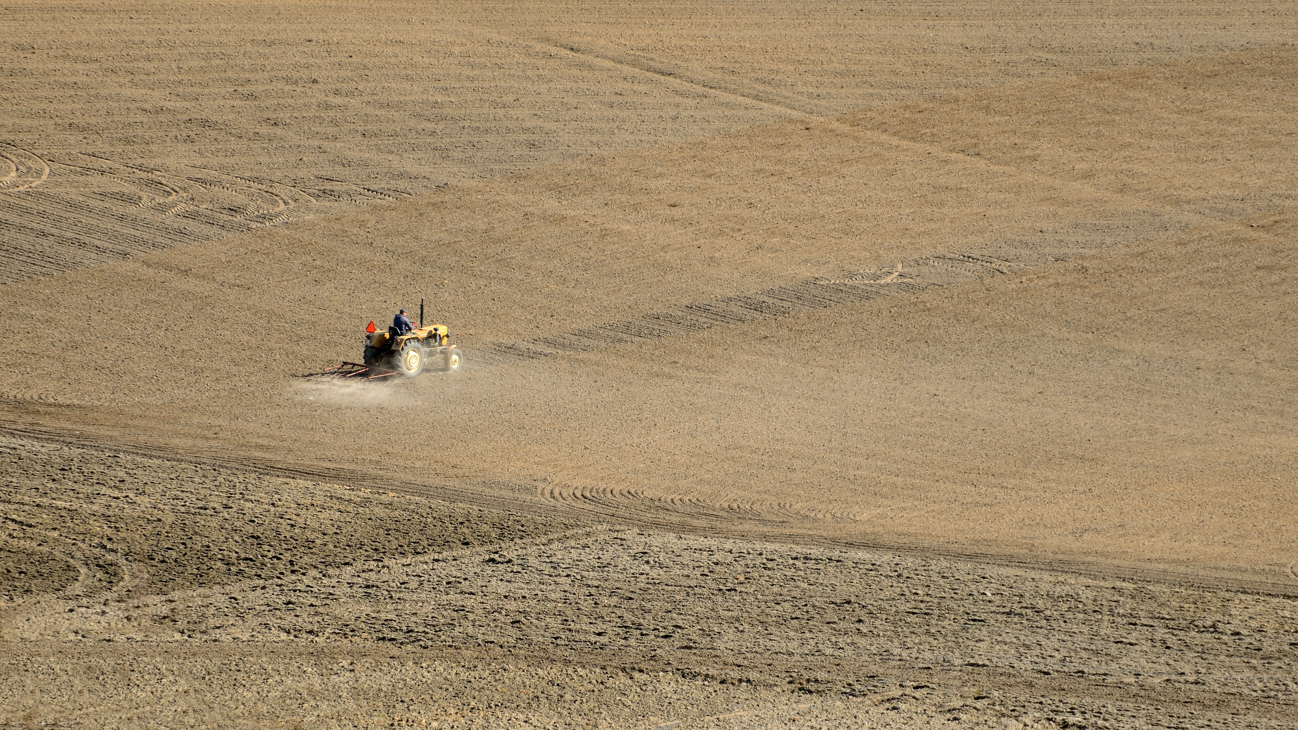 Susza hydrologiczna w Polsce: krótkie i  ulewne deszcze jej nie zatrzymają