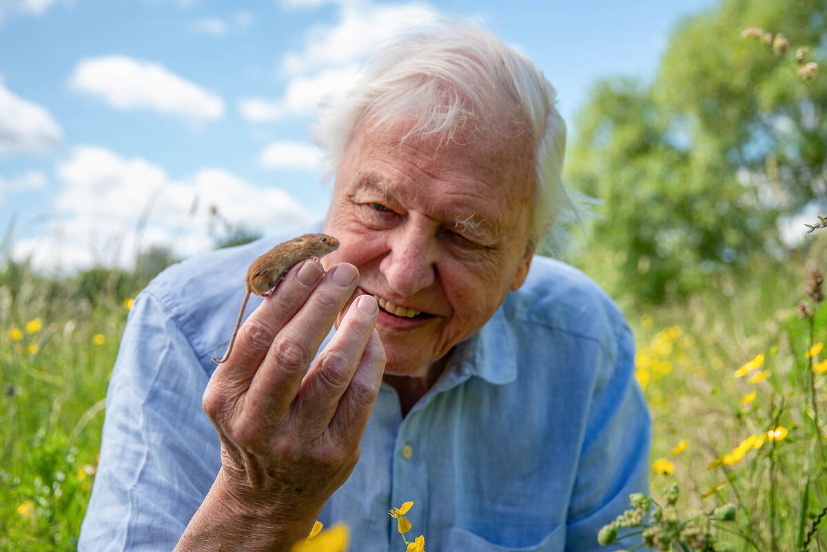 attenborough