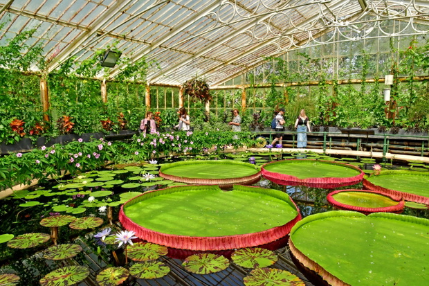 kew gardens