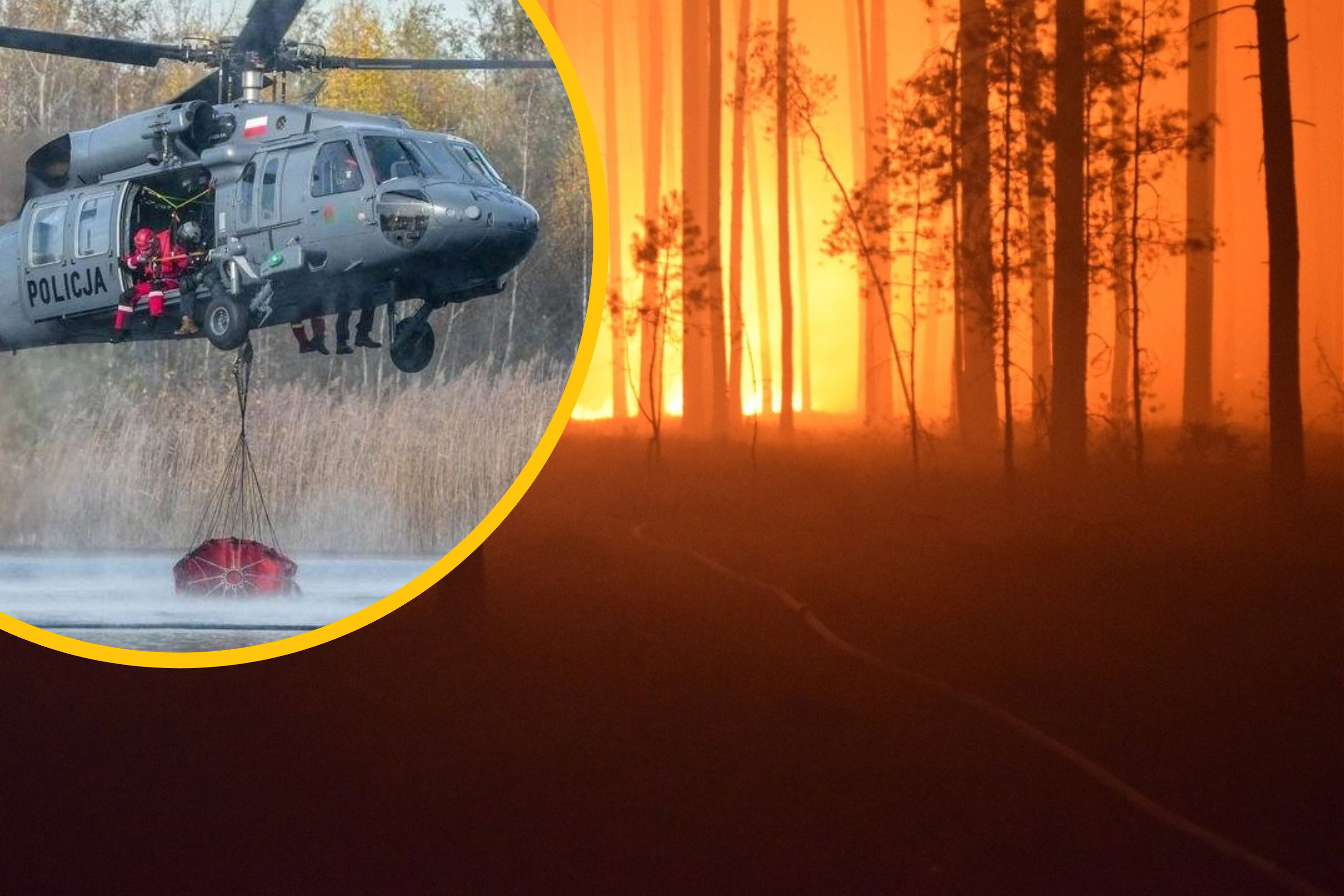 „Płoną nasze ptaki”. Trwa pożar Puszczy Solskiej, w której obronie zginął pilot