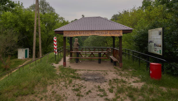 lasy włodawskie
