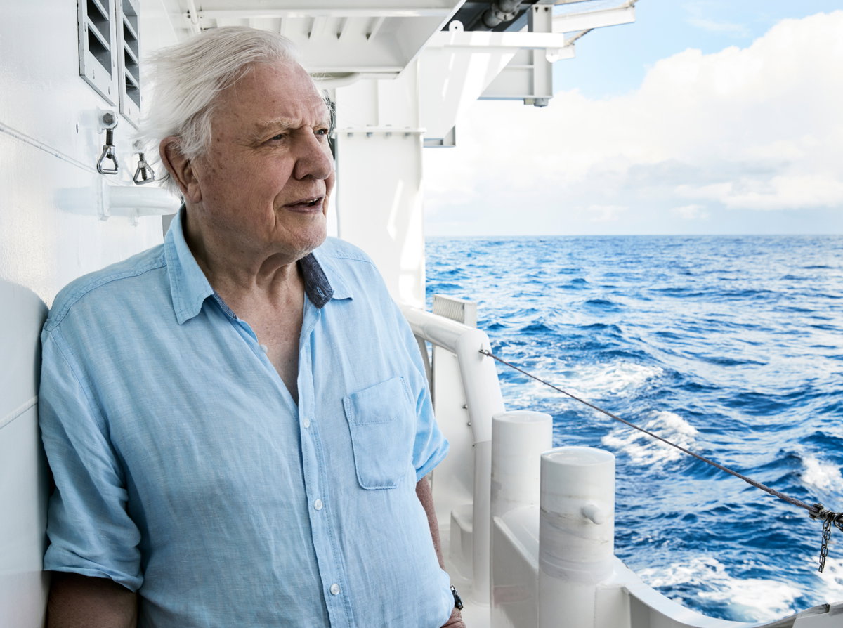 attenborough