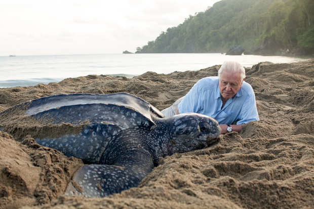 attenborough