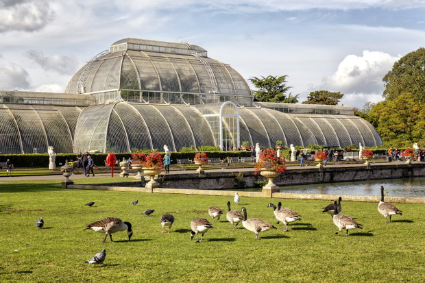 The Palm House Kew Gardens