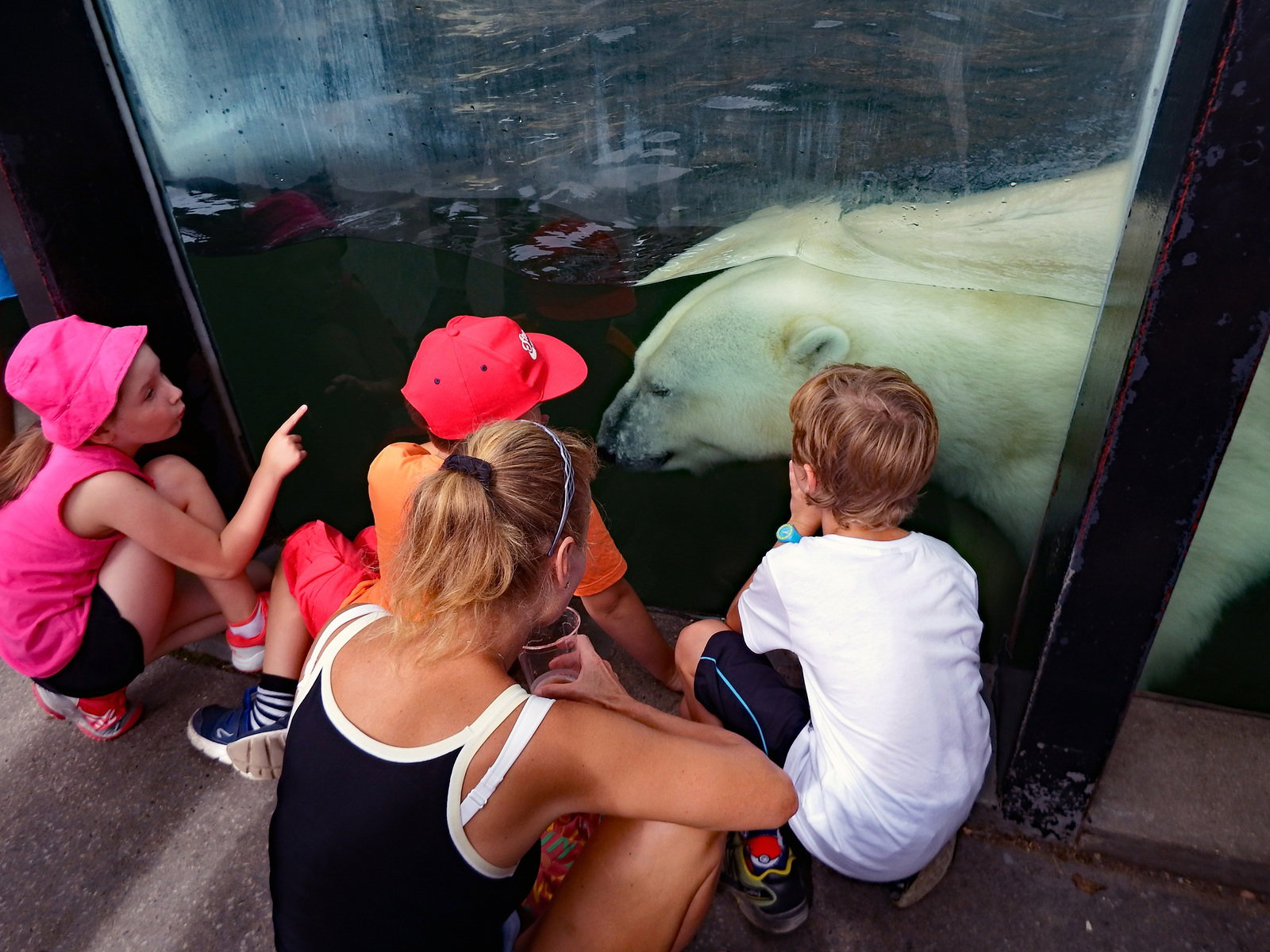 Ochrona bioróżnorodności i znaczenie zoo w Pradze