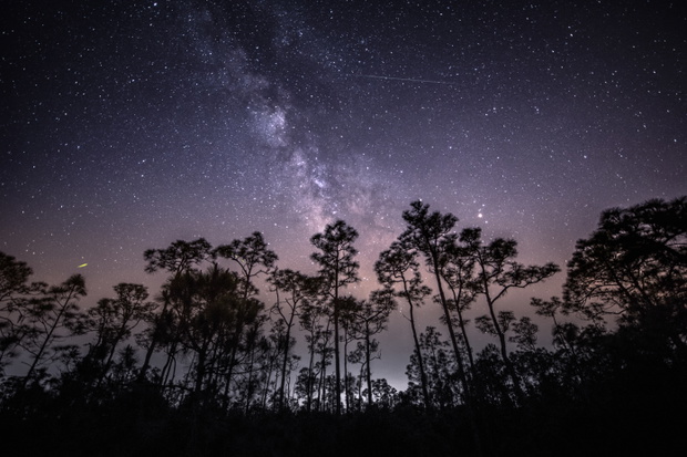 Rój meteorów Eta Akwarydy