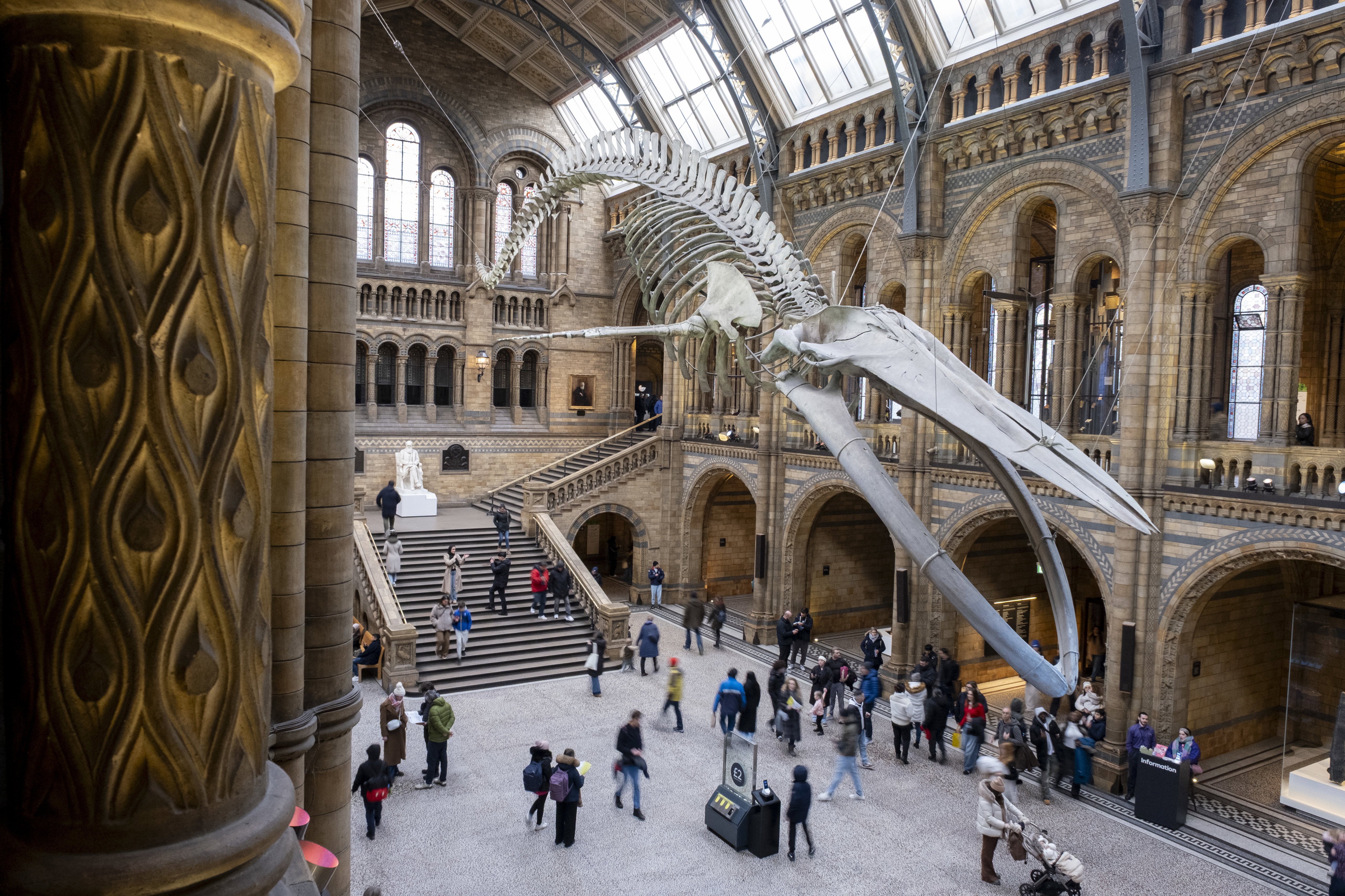 Muzeum Historii Naturalnej w Londynie