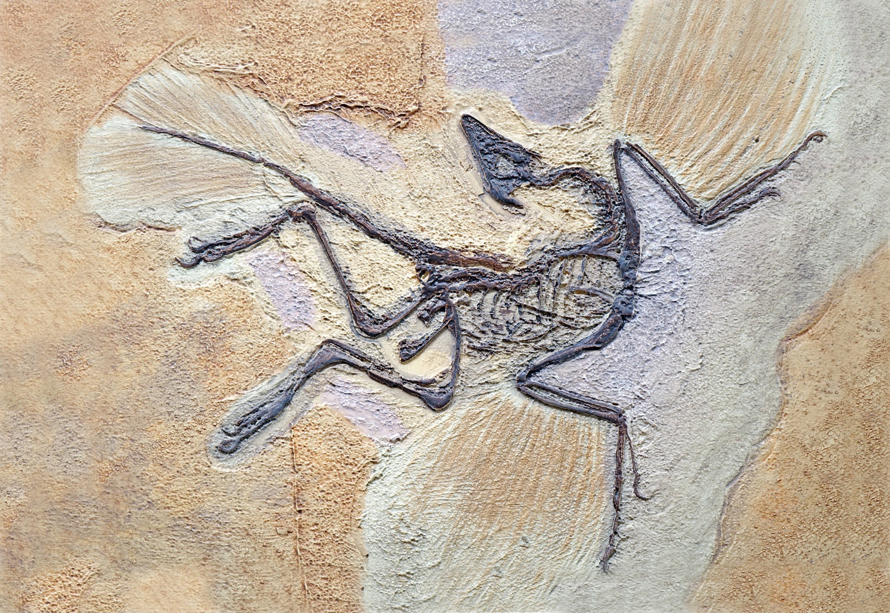 Archeopteryks to wielka zagadka paleontologii